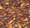 Special Purchase Pinon Pine Nuts - 2 lbs. - price includes S&H!